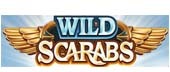 wild scarabs slot